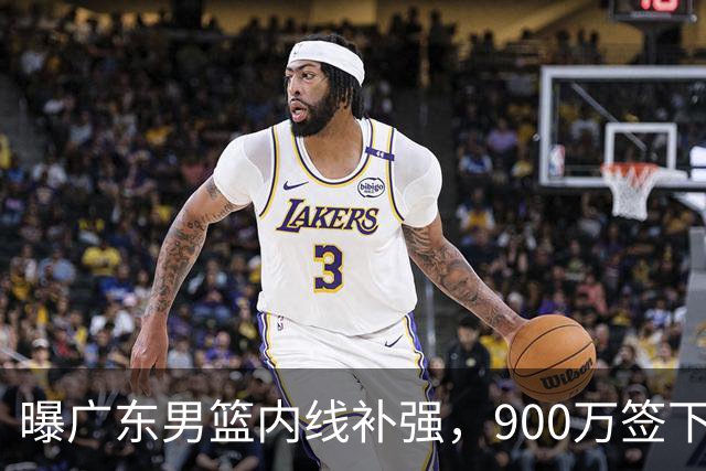 曝广东男篮内线补强，900万签下季后赛场均6.5分悍将，朱芳雨又现神操作